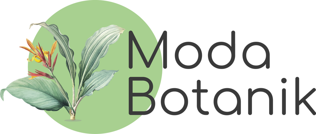 Modabotanik.com 5. Yaşını Kutluyor: Doğayla Buluşmanın Adresi!
