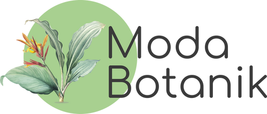 Modabotanik.com 5. Yaşını Kutluyor: Doğayla Buluşmanın Adresi!